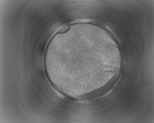 X0000080811186200701122233