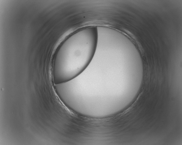 X0000080811188200701122233