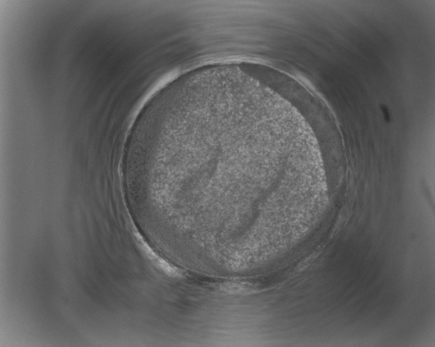 X0000080811189200701122233