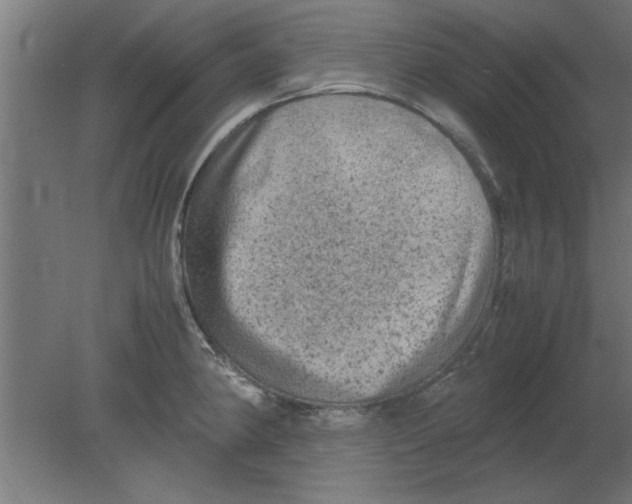 X0000080811190200701122233