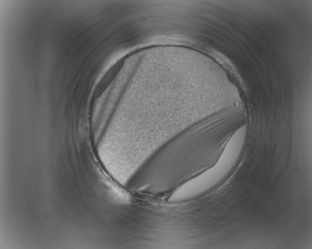 X0000080811192200701122233