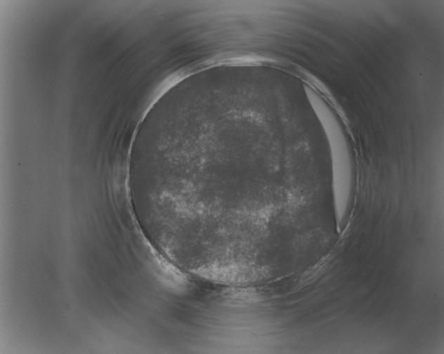 X0000080811194200701122233