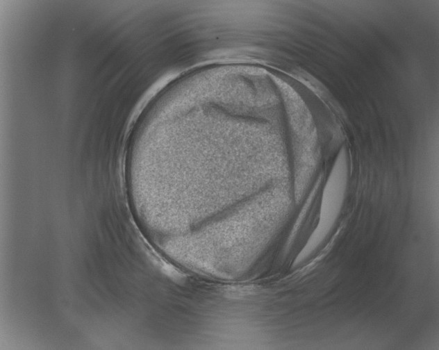 X0000080811196200701122232