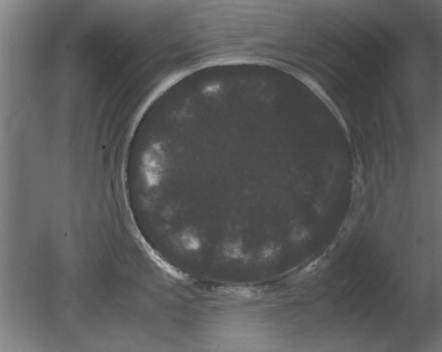 X0000080811197200701122232