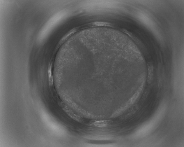 X0000080811198200701122232