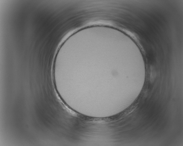 X0000080811199200701122232