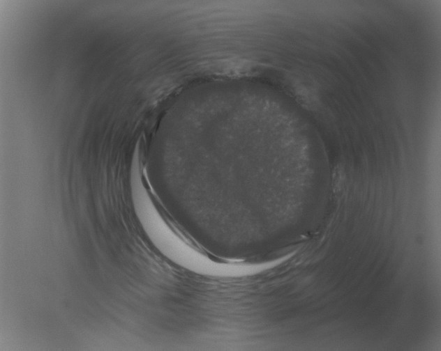 X0000080811202200701122232