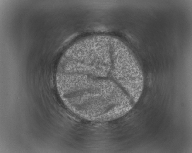 X0000080811205200701122232