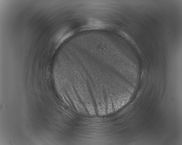 X0000080811210200701122232