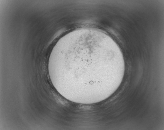 X0000080811211200701122232