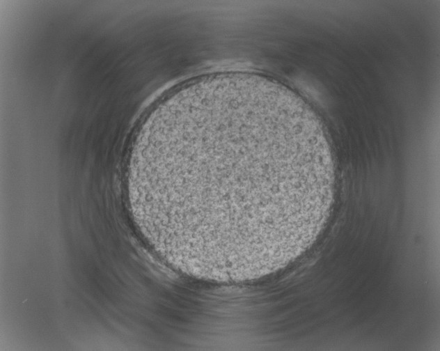 X0000080811212200701122232