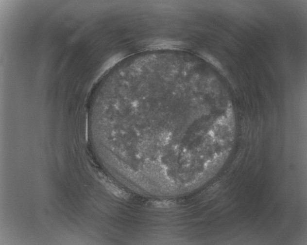 X0000080811219200701122232