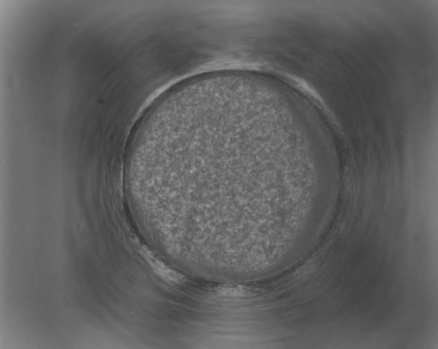 X0000080811220200701122232