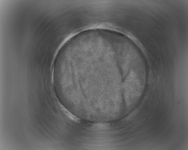 X0000080811224200701122232