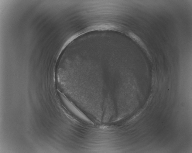 X0000080811226200701122232