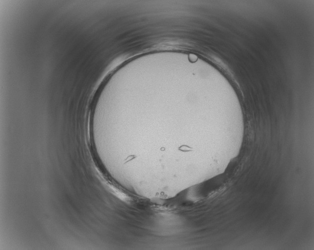 X0000080811227200701122232