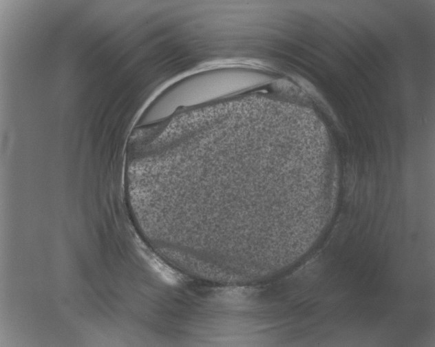 X0000080811228200701122232