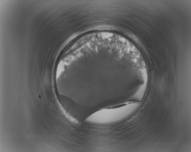 X0000080811229200701122232