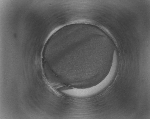 X0000080811230200701122232