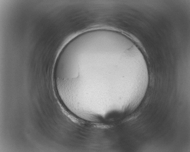 X0000080811231200701122232