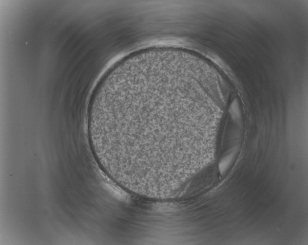 X0000080811232200701122232