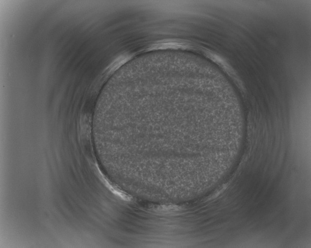 X0000080811233200701122232