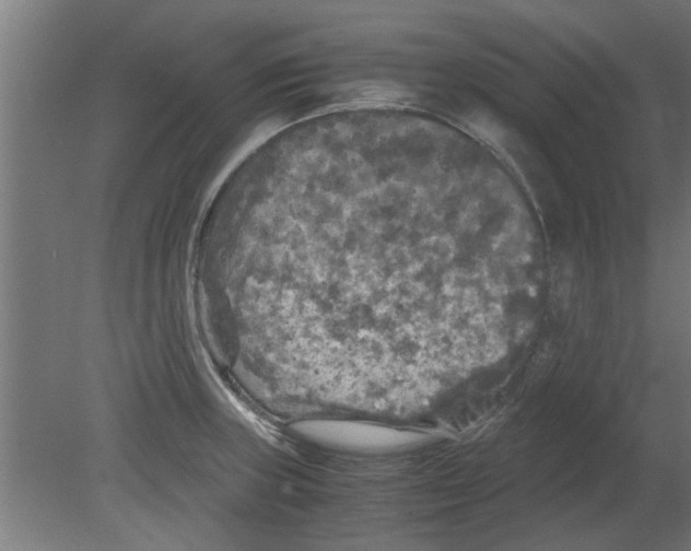 X0000080811235200701122232