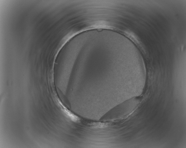 X0000080811236200701122232