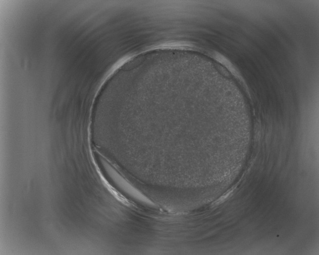 X0000080811237200701122232