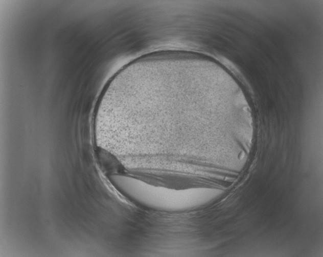 X0000080811238200701122232