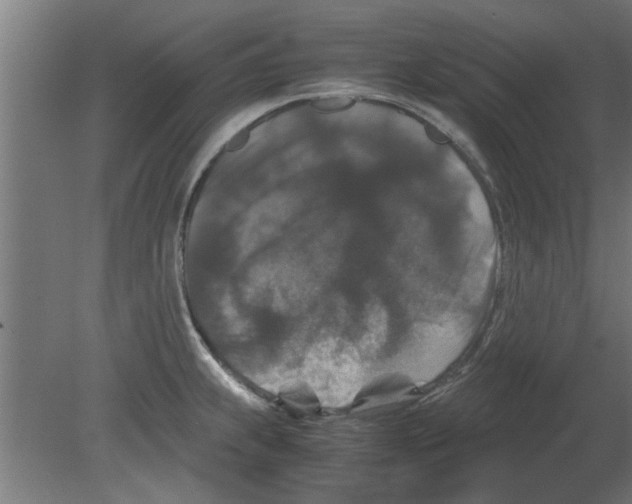 X0000080811239200701122232