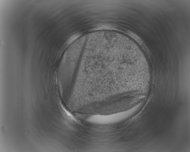 X0000080811241200701122232