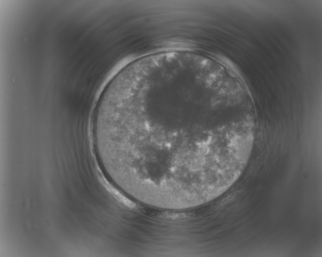 X0000080811243200701122232