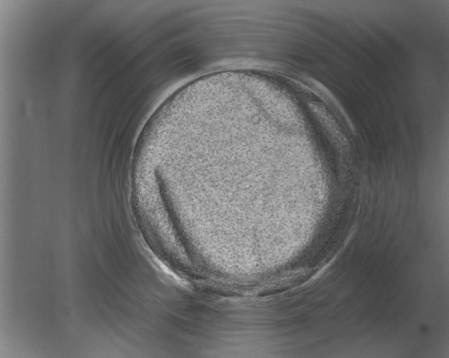 X0000080811244200701122232