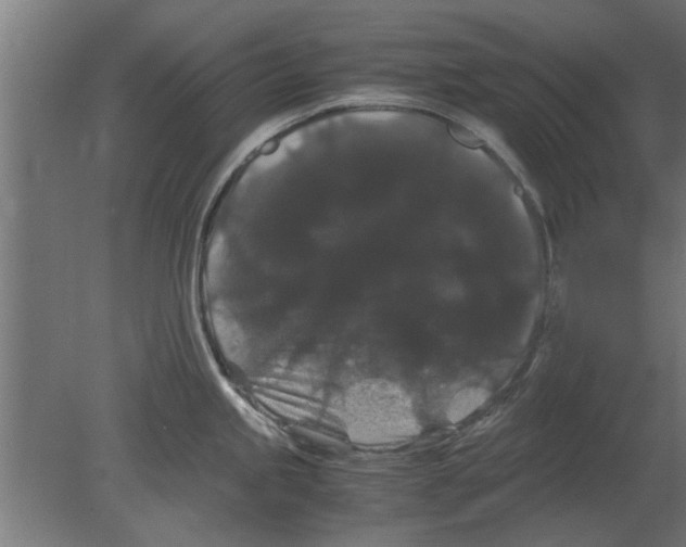 X0000080811245200701122232