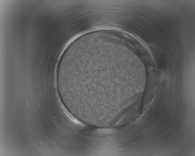 X0000080811246200701122232