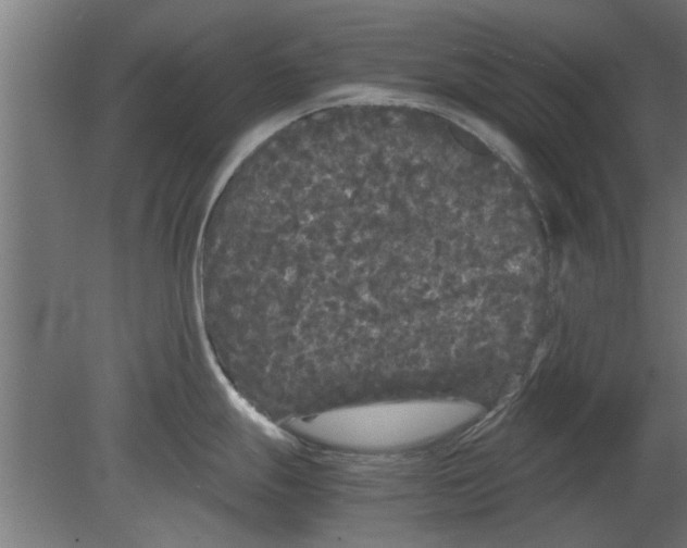 X0000080811247200701122232