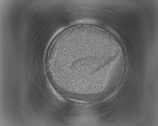 X0000080811248200701122232