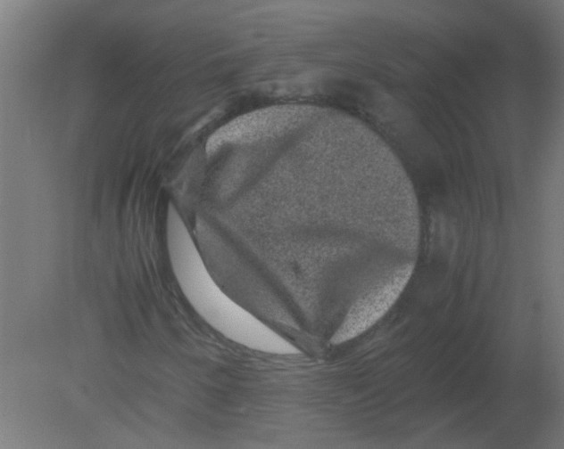 X0000080811250200701122232