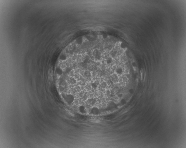 X0000080811251200701122232