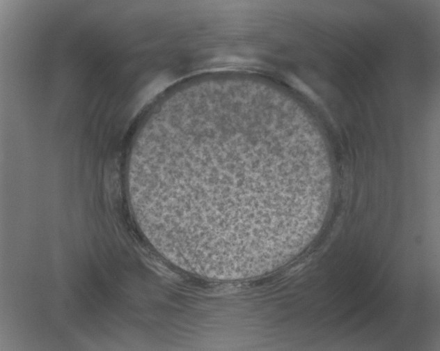 X0000080811259200701122231