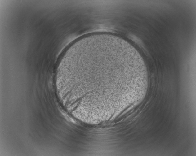 X0000080811260200701122231