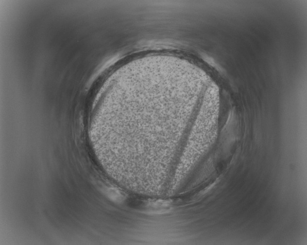 X0000080811261200701122231