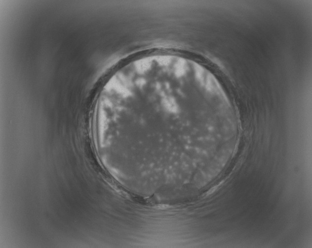 X0000080811263200701122231