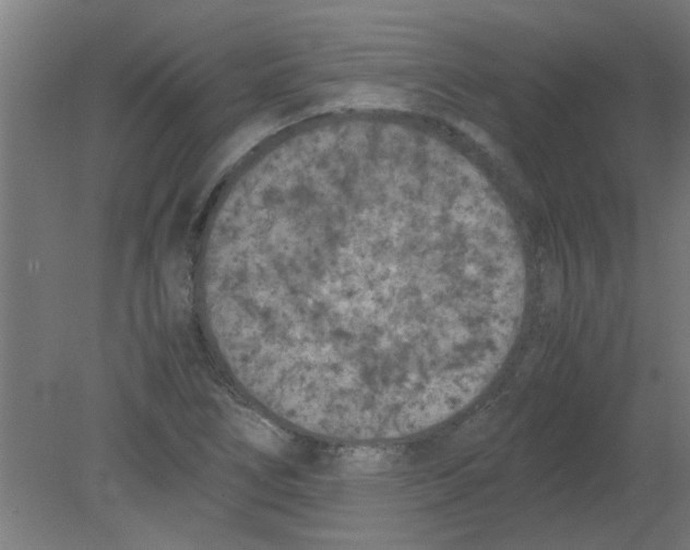 X0000080811266200701122231