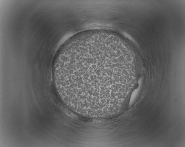 X0000080811267200701122231