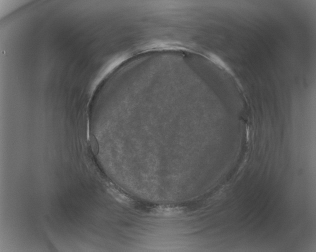 X0000080811269200701122231