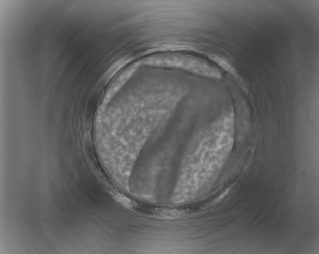 X0000080811273200701122231