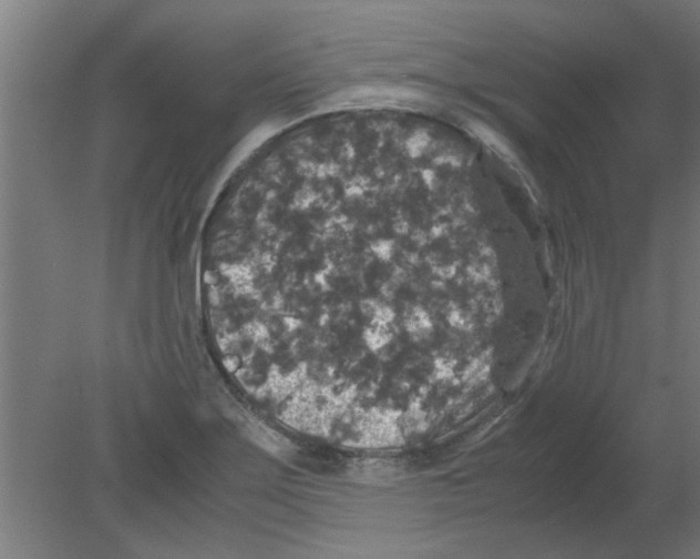 X0000080811275200701122231