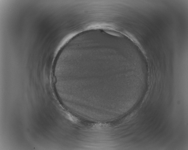 X0000080811277200701122231